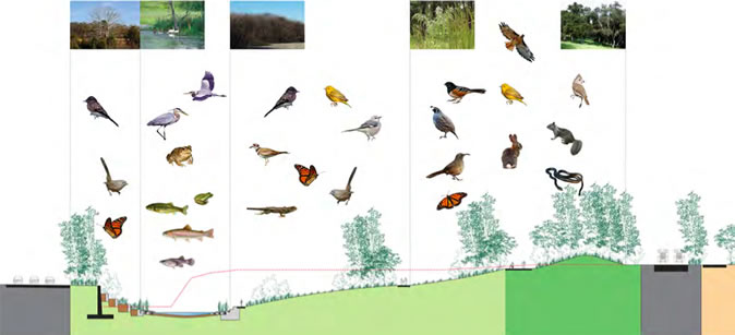 Figure 3-1-6 Habitats | 栖息地