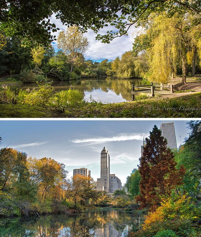 图片4： Birkenhead park与Central park之间的相似性,左引自：http://1000rr.co.uk/photography/；右引自：https://www.flickr.com/photos/72098626@N00/