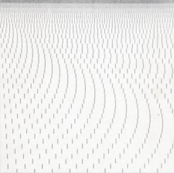 ￼￼(Francois Morellet) 2 cm dashes with spacing increasing by 2mm every row...