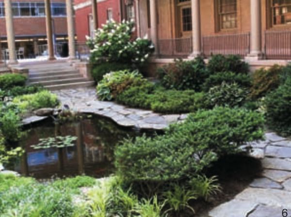 图6 一座保存完好的20世纪初为精神病患者建造的花园(约翰·霍普金斯医院，巴尔的摩，马里兰州)