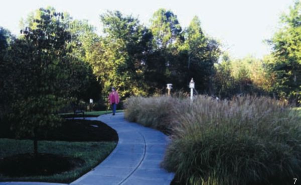 图7 一座具有清晰路径系统的专为痴呆症患者设计的康复花园，生命丰富中心(国王山，北卡罗来纳州)