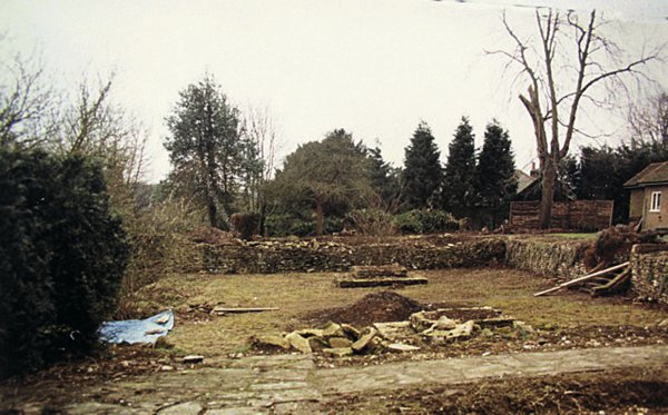 图2 1984年月季园的景象