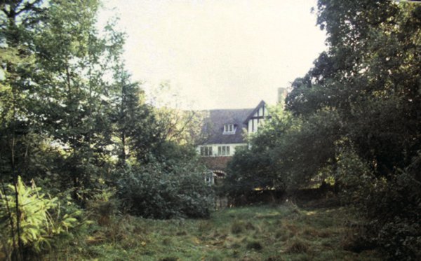 图1 1984年野生花园的景象