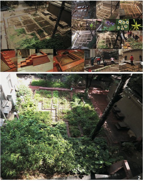 图2 东楼雨水花园(2009—2015年,西安建筑科技大学风景园林系课题组提供)