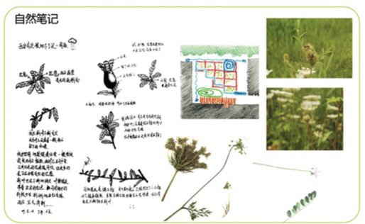 habitat-garden-site-case-practice-in-the-landscape-architecture-undergraduate-teaching-program-04