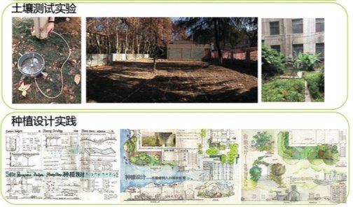 habitat-garden-site-case-practice-in-the-landscape-architecture-undergraduate-teaching-program-06
