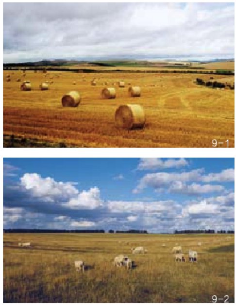 图9 乡村景观中多样的视觉元素(图9-1由张云路摄)