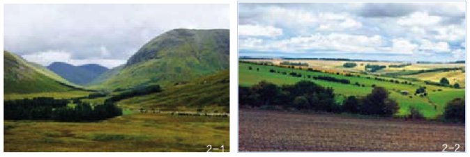 图2 英格兰(2-1)与苏格兰(2-2)乡村背景在树种组成上有显著差异