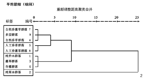 图2 聚类分析树状图
