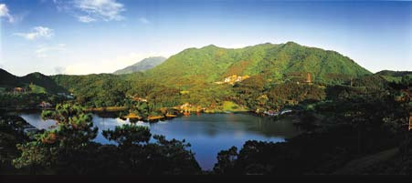图2 深圳仙湖植物园全景(2001年陈卫国摄)