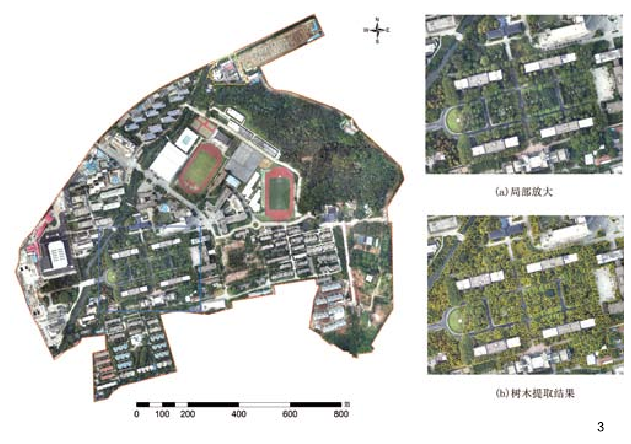 图3 研究区正射影像图与树木提取图